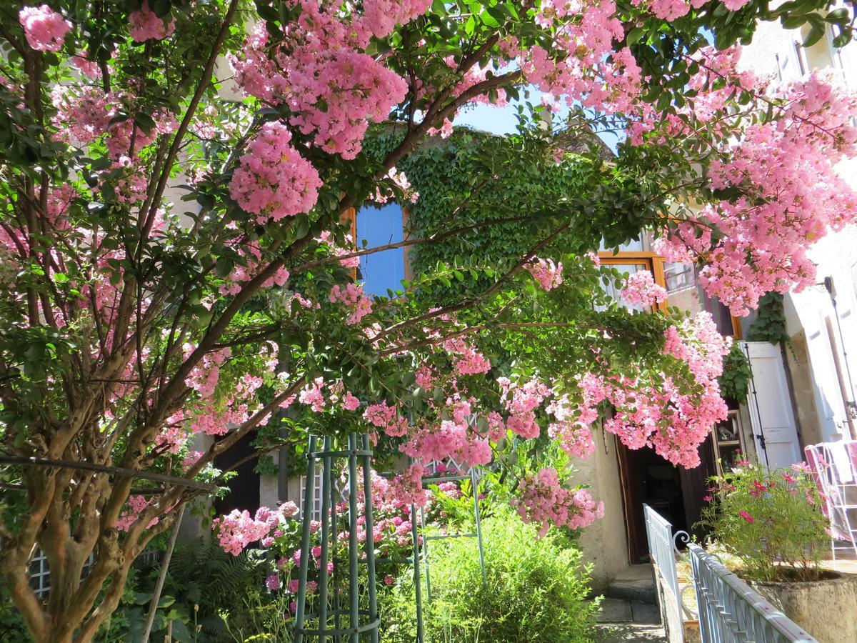 Bed and Breakfast La Mirandole Foix Exterior foto